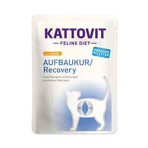 Kattovit Recovery kuře kapsička 85 g