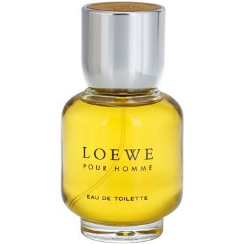 Loewe Loewe Pour Homme toaletní voda pro muže 100 ml