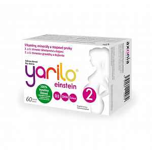 Yarilo einstein 2 60 tobolek