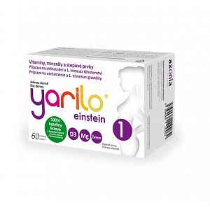 Yarilo einstein 1 60 tobolek