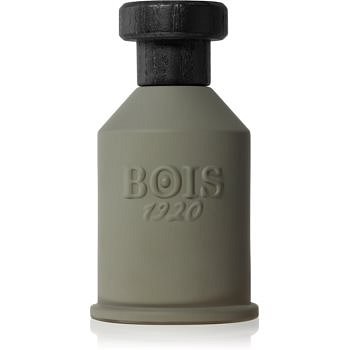 Bois 1920 Itruk parfémovaná voda unisex 100 ml