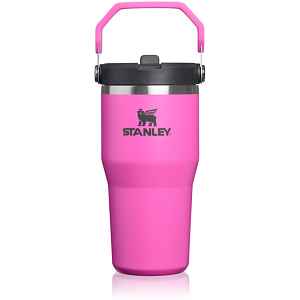 Stanley Quencher H2.O FlowState™ Tumbler nerezový tumbler s brčkem malý hot pink 1 ks
