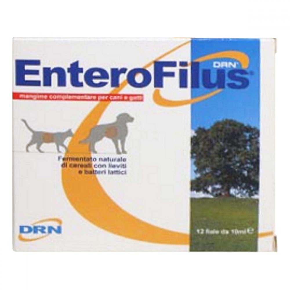 Enterofilus 12x10ml