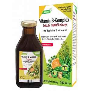 Salus Floradix Vitamin-B-komplex 250ml