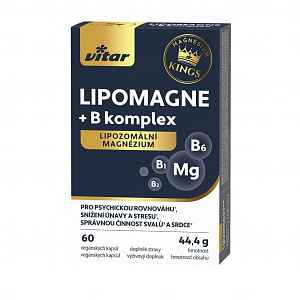 Vitar LIPOMAGNE + B komplex KINGS 60 kapslí