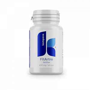 KOMPAVA Fit Artro Aktiv 600 mg/60 kps