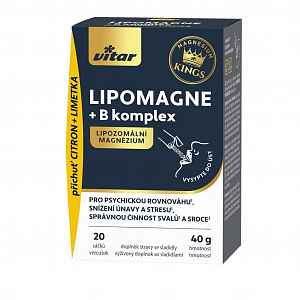 Vitar LIPOMAGNE + B komplex KINGS 20 sáčků