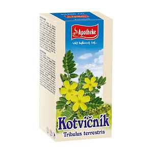 Apotheke Kotvičník 20x1.5g