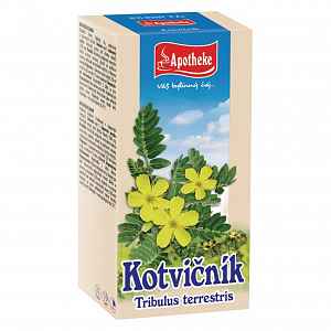 Apotheke Kotvičník 20x1.5g