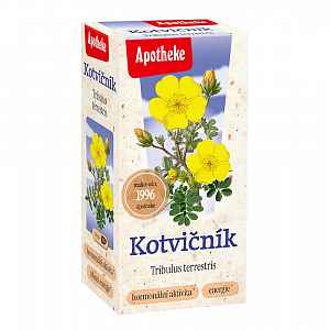Apotheke Kotvičník 20x1.5g