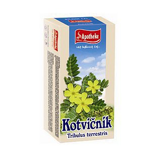 Apotheke Kotvičník 20x1.5g