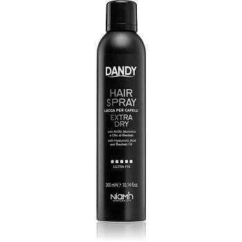 DANDY Hair Spray lak na vlasy se silnou fixací s kyselinou hyaluronovou 300 ml