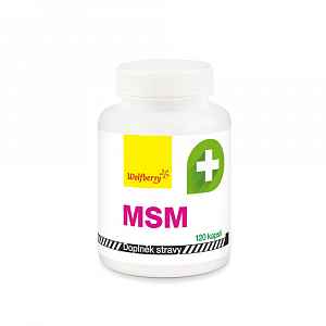 Wolfberry MSM 120 kapslí