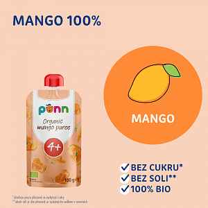 Salvest Põnn BIO Mango 100% 100g