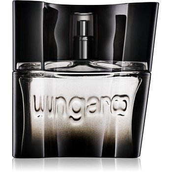 Emanuel Ungaro Ungaro Masculin toaletní voda pro muže 30 ml