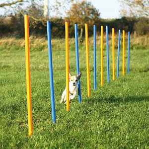 Trixie Agility - Slalom 115 × Ø 3 cm (TRX3206)