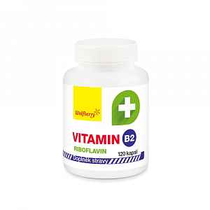Wolfberry Vitamín B2 - Riboflavin 120 kapslí
