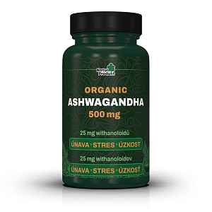 Naturprodukt Ashwagandha organic 500 mg 60 tablet