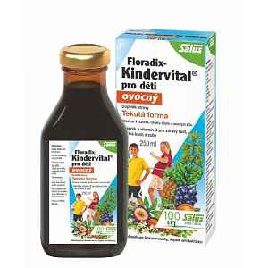 Floradix Kindervital pro děti ovocný 250 ml