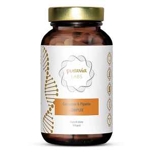 PURAVIA LABS Kurkumin a piperin komplex 90 kapslí