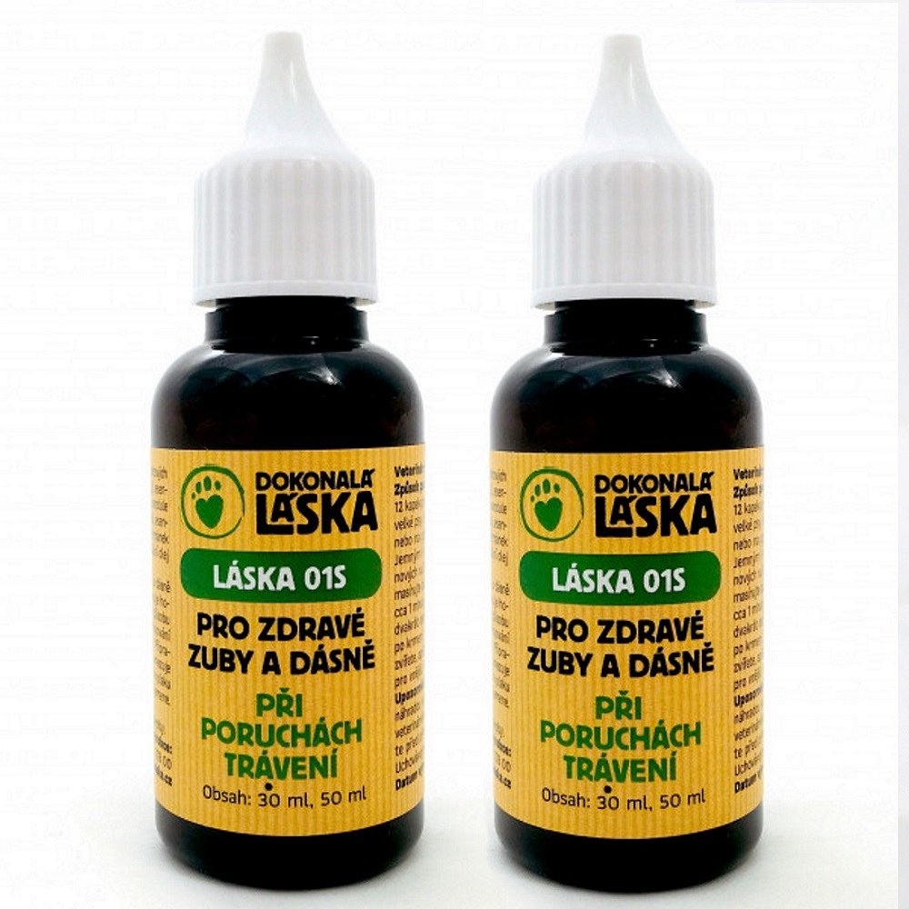 DOKONALÁ LÁSKA 01S Pro zdravé zuby a dásně při poruchách trávení 100 ml