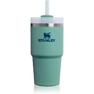 Stanley Quencher H2.O FlowState™ Tumbler nerezový tumbler s brčkem malý Spring Green 1 ks