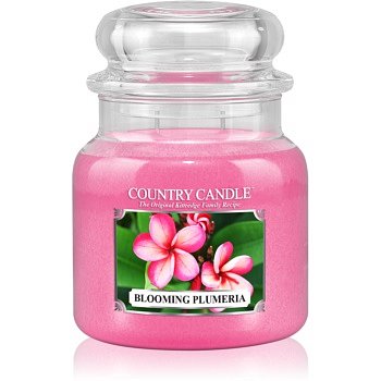 Country Candle Blooming Plumeria vonná svíčka 453 g