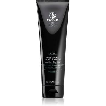 Paul Mitchell Awapuhi hydratační šampon pro barvené vlasy 250 ml