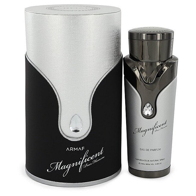 Magnificent Homme - EDP 100 ml