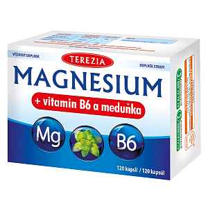 Terezia Magnesium + vitamin B6 a meduňka 120 kapslí