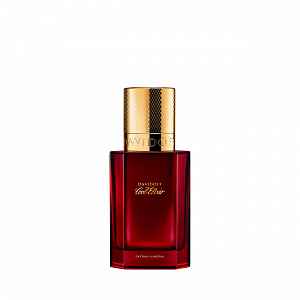 Davidoff Cool Elixir Safran Mineral  Parfum Intense pánská  30 ml