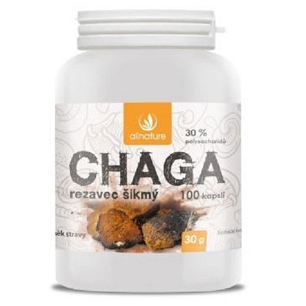 Allnature Chaga kapsle 100 cps