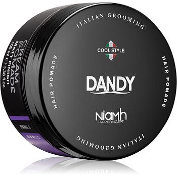 DANDY Cream Pomade Matt Finish matující pomáda na vlasy 100 ml