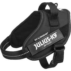 Postroj pro psy Trixie Julius-K9 IDC® černý S/Mini 49–67 cm × 22 mm