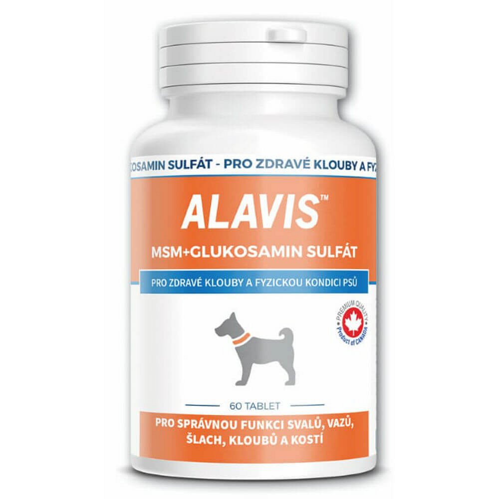 Alavis MSM + Glukosamin sulfát 60 tablet