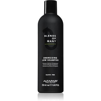 Alfaparf Milano Blends of Many energizující šampon pro jemné a zplihlé vlasy 250 ml