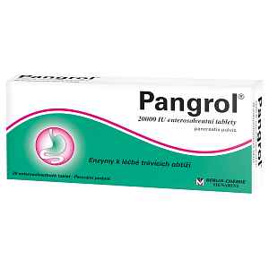 Pangrol 20000 por.tbl.ent.20 II