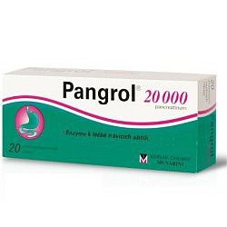 Pangrol 20000 por.tbl.ent.20 II