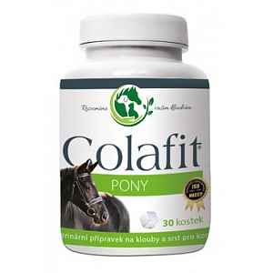 COLAFIT pony pro koně 30 kostiček