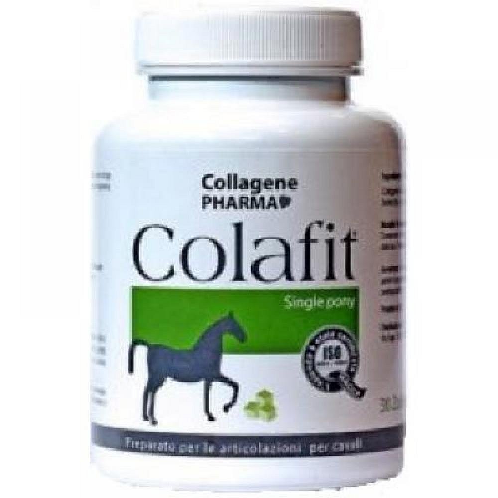 COLAFIT pony pro koně 30 kostiček