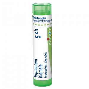 EQUISETUM HIEMALE 2CH-200CH GRA 1X4G