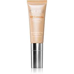 Note Cosmetique BB Advanced Skin Corrector dlouhotrvající korektor SPF 15 odstín 02 10 ml