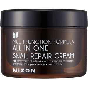 Mizon Multi Function Formula  regenerační krém s filtrátem hlemýždího sekretu 92% 120 ml