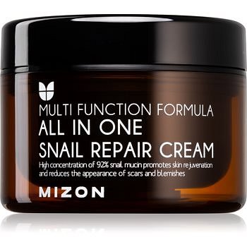 Mizon Multi Function Formula  regenerační krém s filtrátem hlemýždího sekretu 92% 120 ml