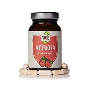 Acerola 1 kus
