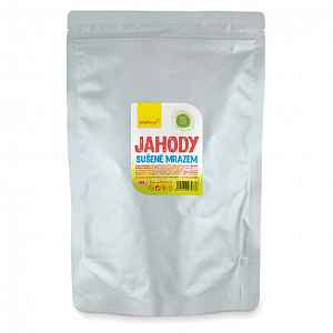 WOLFBERRY Jahody lyofilizované 100 g