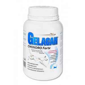 Gelacan Chondro Forte 150g