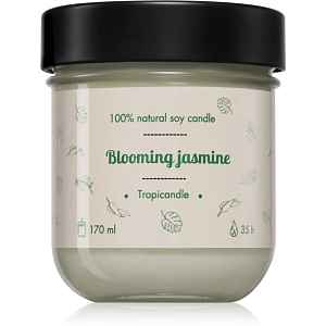 Tropicandle Blooming Jasmine vonná svíčka 170 ml