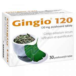 GINGIO 120 120MG potahované tablety 30
