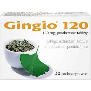 GINGIO 120 120MG potahované tablety 30